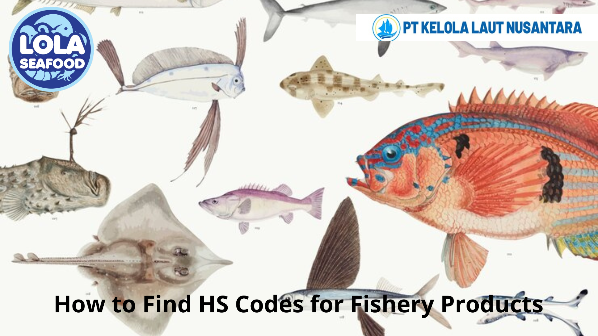 How to Find HS Codes for Fishery Products